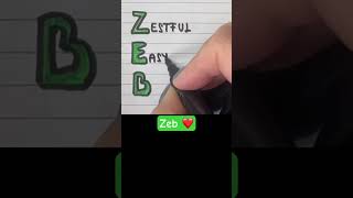 Download lagu Meaning of the name ZEB #meaning #name #zeb mp3