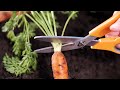 Fiskars kirpiklis Solid SP13