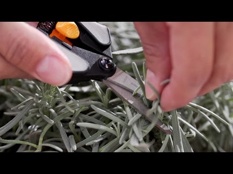 Fiskars kirpiklis Solid SP13 video