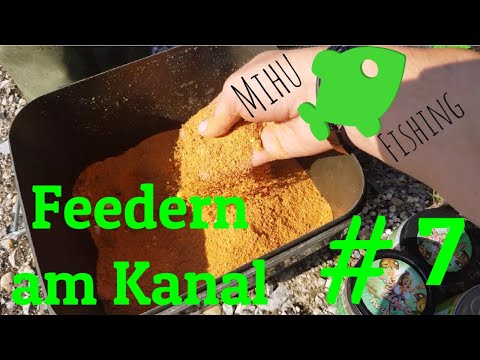 Feedern am Kanal - Livebiss