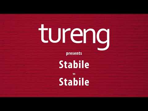 How to pronounce Stabile - Heteronyms by Tureng
