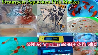 রঙিন মাছ আর অ্যাকোরিয়াম অ্যাকসেসারিস | Serampore Fish Market | Fish Shop Near Me | Fish Market 