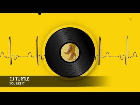 Dj Turtle - You Like It