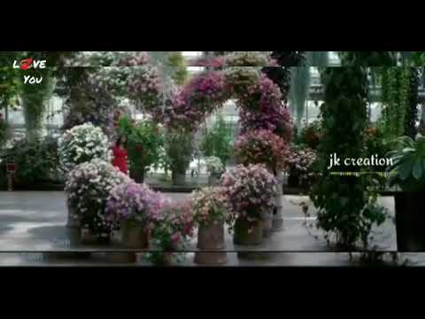 Aiii happy birthday jillu💞💞💞