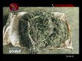 govibimata-arunella-25-08-2019
