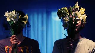 Plastic Flowers - Lucy [Royalty Free Music]