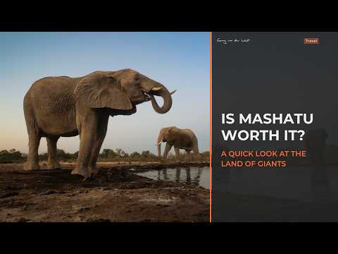 Is Mashatu Worth It? A Quick Look At The Land Of Giants