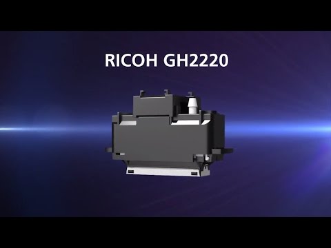 Ricoh Gh2220 Printhead