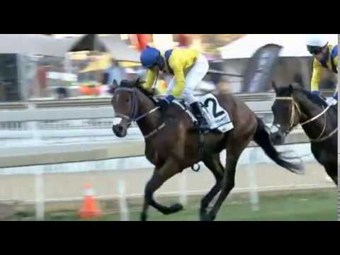 Zillzall - 2019 Chris Gerber Summer Cup (Gr1)