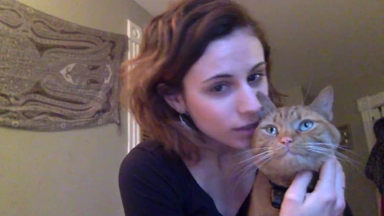 Perineal Urethrostomy Cat Surgery