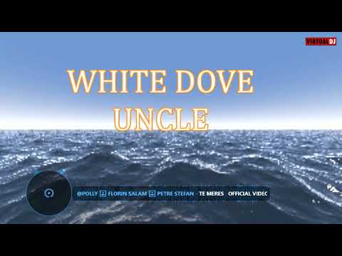 @POLLY 🔝 Florin Salam 🔝 Petre Stefan - Te Meres  (Official Video)