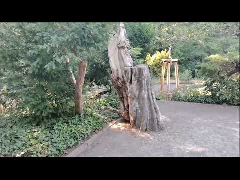 Warum in die Ferne schweifen, wenn das Gute liegt so nah