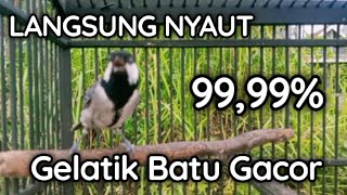 Download lagu ANTI GAGAL!! PANCINGAN GELATIK BATU GACOR 99,99% NYAUT DIJAMIN CEPAT RESPON mp3