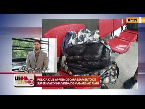 LINHA DE FOGO 19 03 2020 APREENSíO DE CARREGAMENTO DE SUPER MACONHA VINDA DE MANAUS AO PIAUí