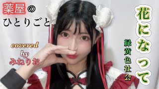 【薬屋のひとりごと】　花になって/緑黄色社会　covered by みねりお　歌ってみた