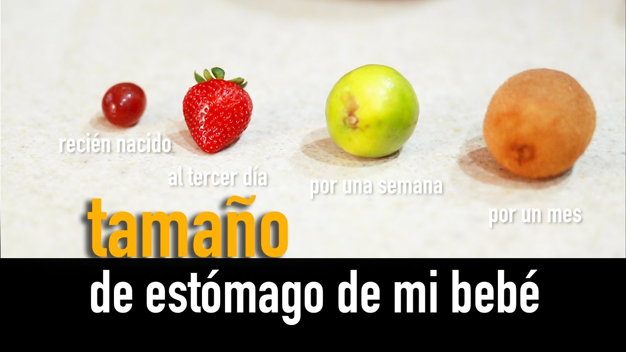 Watch Tamaño de estómago de bebé Now Tamaño de estómago de bebé