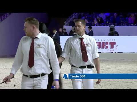 HK 2026 – Rubriek 3 – Keuring van de ingeschreven stamboekhengsten tot en met 12 jaar