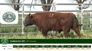 3 Toros PC/PP - Gregorio Aberasturi - Plaza Ganadera
