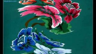 Me canzun d'amuur en scrivi mai - Davide Van De Sfroos