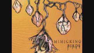 Rivers, Veins and Roots- Mimicking Birds