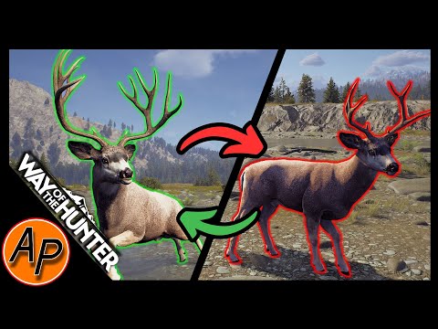 A GUIDE TO THE NEW HUNTING MAP + HERD MANAGEMENT  | Way of the hunter [EARLY ACCESS]