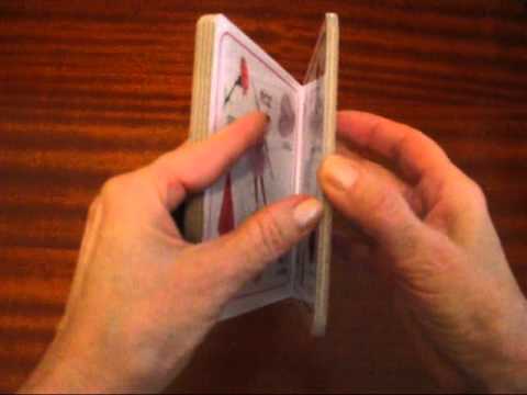 TEORA CULORILE COD 1371