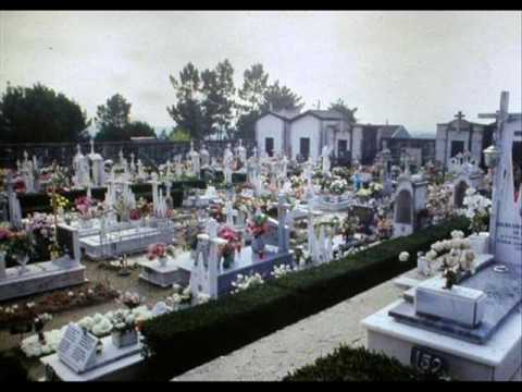 Mc flavinho mc pistaxi