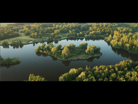 Sunrise at the Zuigerplasbos, Lelystad, the Netherlands // 2020 - Shot on dji Mavic 2 Pro drone