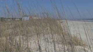 preview picture of video 'Oak Island.wmv'