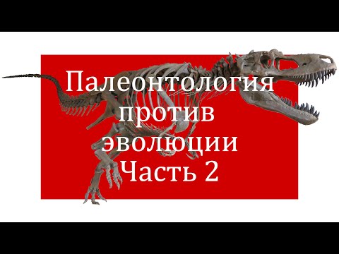 Палеонтология против эволюции | Колчуринский Николай Юрьевич | Часть 2