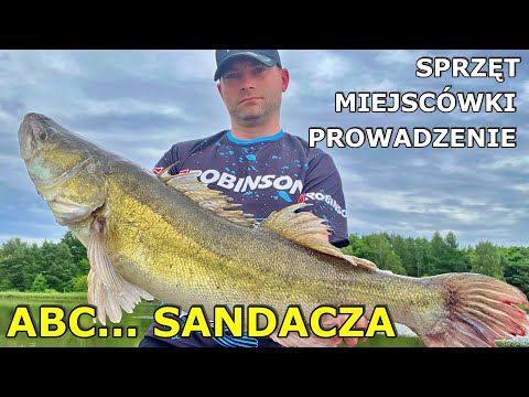 HOW TO CATCH ZANDER? Spots, tackle, and baiting techniques - Here you'll find EVERYTHING!!!