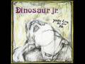 Raisans - Dinosaur Jr.