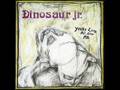 Raisans - Dinosaur Jr. 