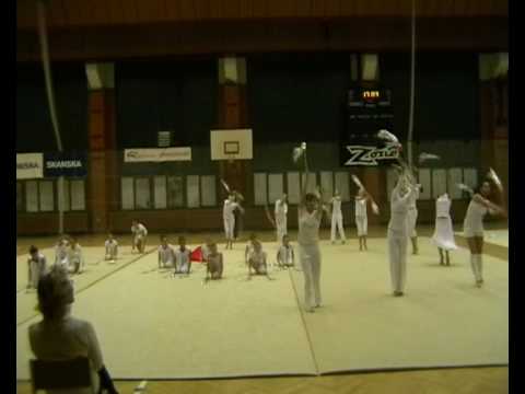 Vánoční exhibice TJ JM Chodov  2007