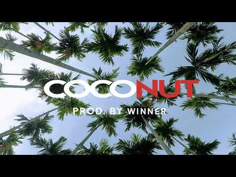 Dancehall x Afrobeat x Wizkid Type Beat Instrumental 2018 "coconut"