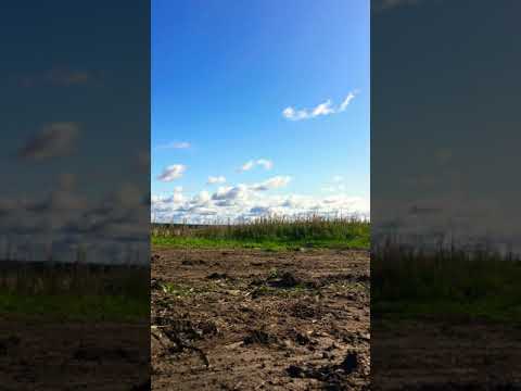 Pösö menee lintassa #etuvetolinttaa