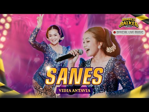 SANES - VIDIA ANTAVIA DI SENGGAK NDARBOY GENK (OFFICIAL LIVE MUSIC) “TOK GANJEL TOK”