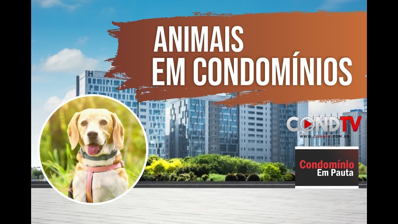 Animais em condomínios