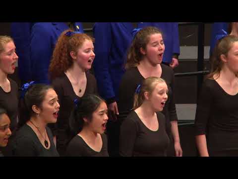 Indodana (trad, arr. Michael Barrett & Ralf Schmitt) - Blue Notes (Tawa College, Wellington)