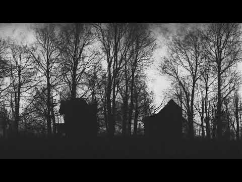 Fjaer - 11 Days - REMASTERED