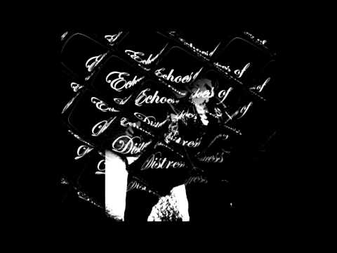 Echoes of Distress - Tears of wrath