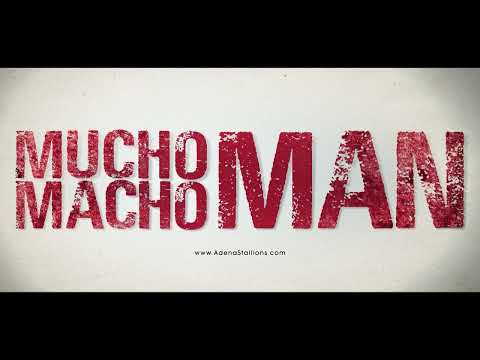 Gulfstream Park Replay Show | January 28, 2022