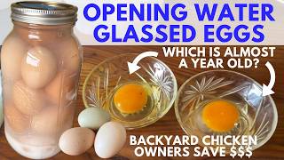 Opening Water Glassed Eggs After Months of Storage | Money Saving Method For Backyard Chicken Owners