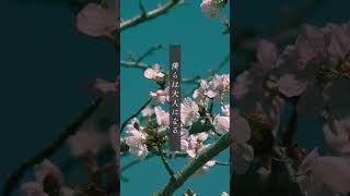 春、終わらないで欲しい人へ #ボカロ #初音ミク #vocaloid #shorts