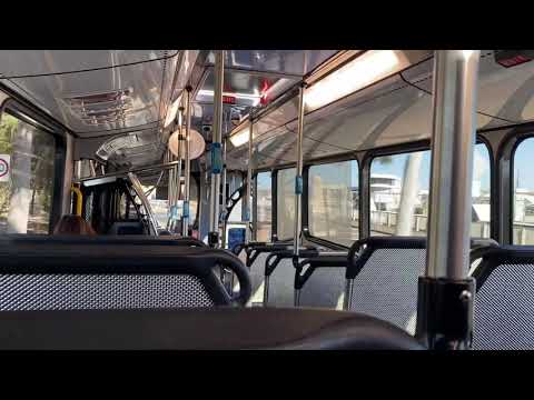 Busabout Sydney: m/o 6962 - MAN 19.320 HOCL-R-NL Bustech VST