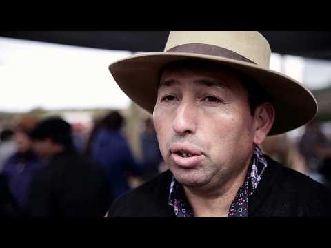 Registro Audiovisual Feria de Castrones “Los Chihuidos” - Halkis