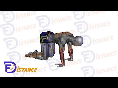 Exercice Étirement des avant-bras à genoux