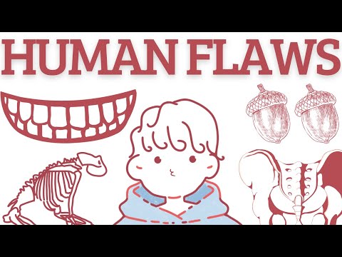 Design Flaws in the Human Body