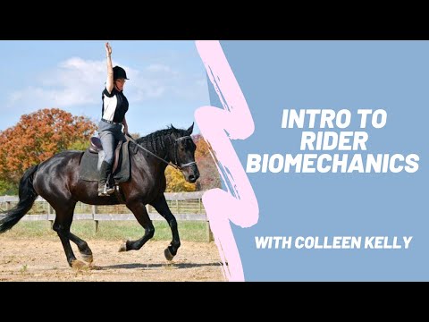 Introduction to Rider Biomechanics with Colleen Kelly