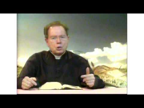 O Pão Nosso 28 Fevereiro 2016   -    Pe. F. C. Cardoso